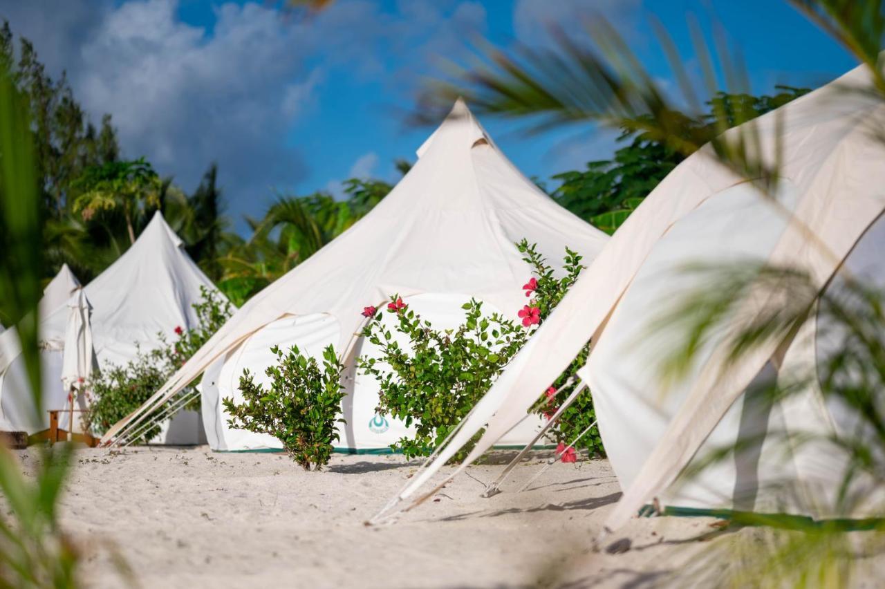 Wild Lotus Glamping Ξενοδοχείο Bolands Εξωτερικό φωτογραφία