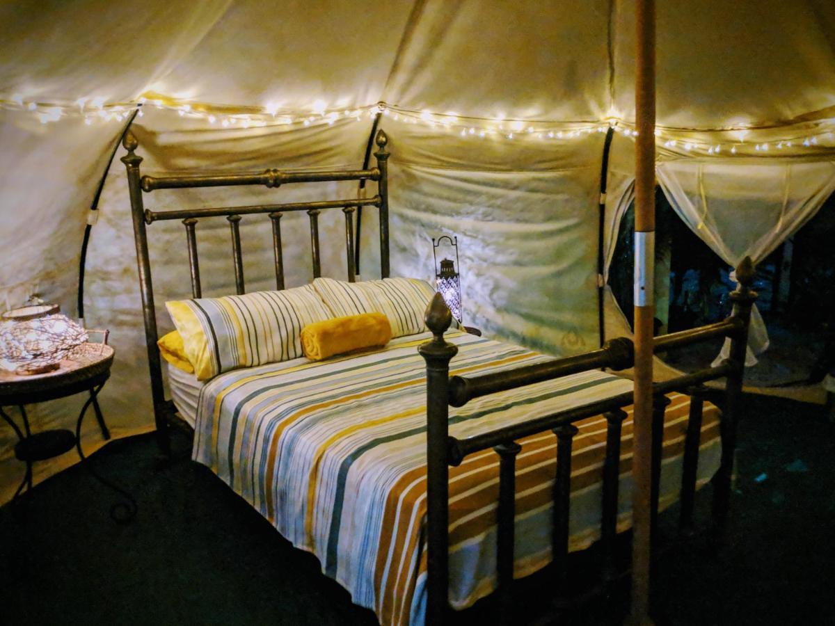 Wild Lotus Glamping Ξενοδοχείο Bolands Εξωτερικό φωτογραφία