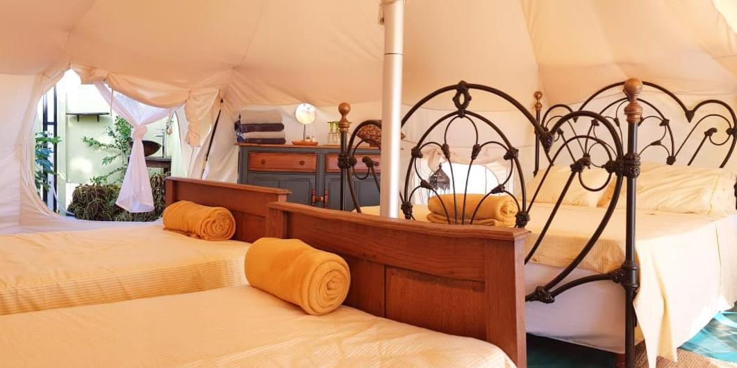 Wild Lotus Glamping Ξενοδοχείο Bolands Εξωτερικό φωτογραφία